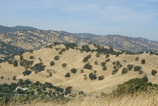 Vacaville